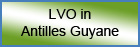 LVO dans les Antilles-Guyane